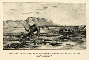 1903 Print Faucher-Gudin Susa 19th Century Camel Shushun Tumulus Mound XHA3