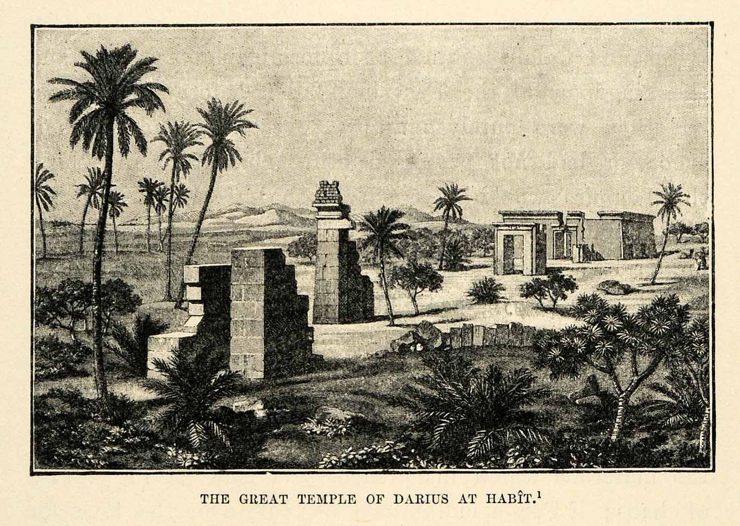 1903 Print Temple King Darius Habit Boudier Archeology Pylon Achaemenid XHA3