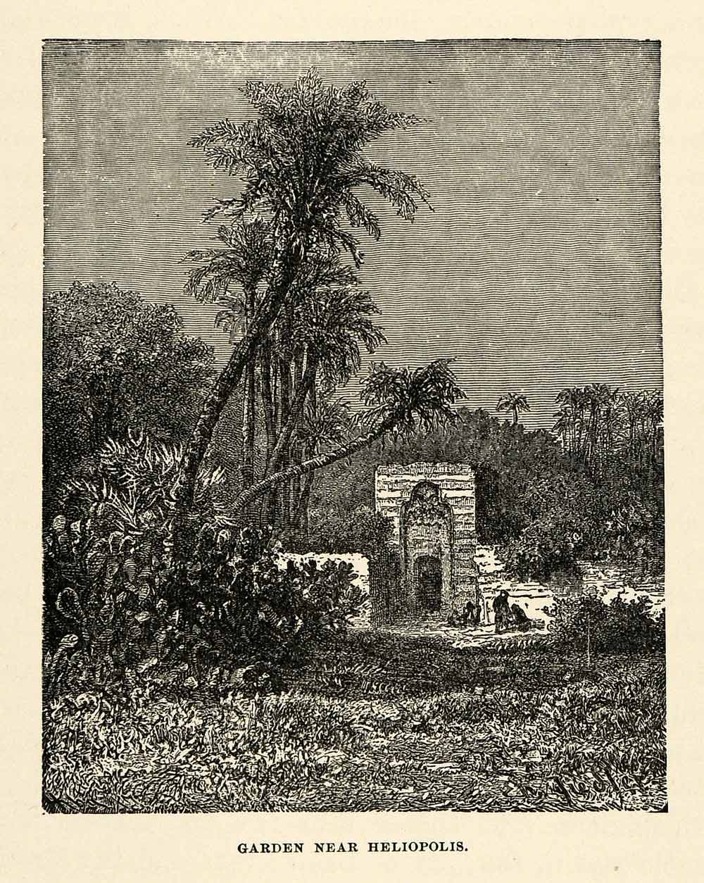 1904 Print Garden Heliopolis Egypt Fiedler Arch Vegetation Botanical Palm XHA4