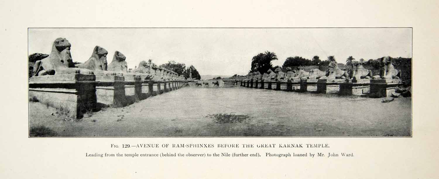 1909 Print Avenue Sphinx Karnak Temple Egyptian Ram Statue Archeological XHC8