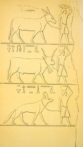 1857 Print Prince Rankue Ancient Egypt Logographic Alphabetic Symbols XHE1