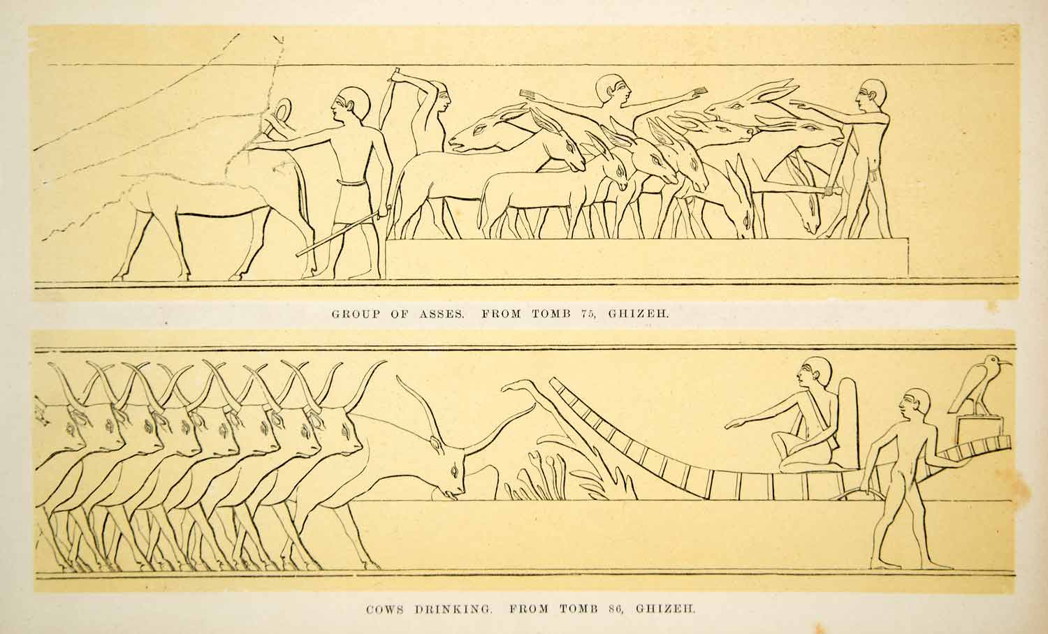 1857 Print Egypt Hieroglyph Donkeys Tomb 75 Giza Cows Drinking 86 Egyptian XHE1