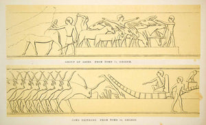 1857 Print Egypt Hieroglyph Donkeys Tomb 75 Giza Cows Drinking 86 Egyptian XHE1