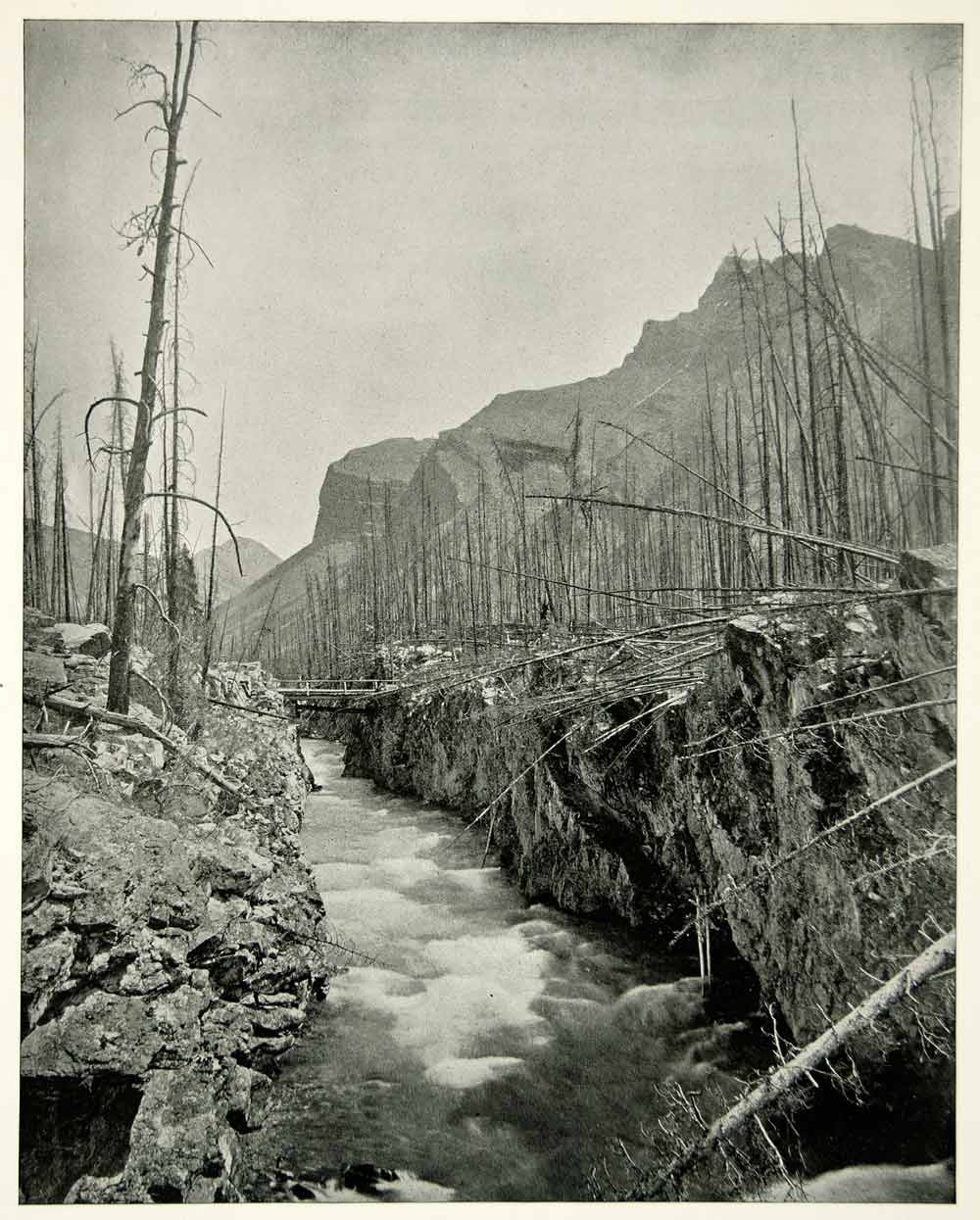 1894 Print Devils Canyon Banff National Park Canada Alberta Rocky Mountain YAC1