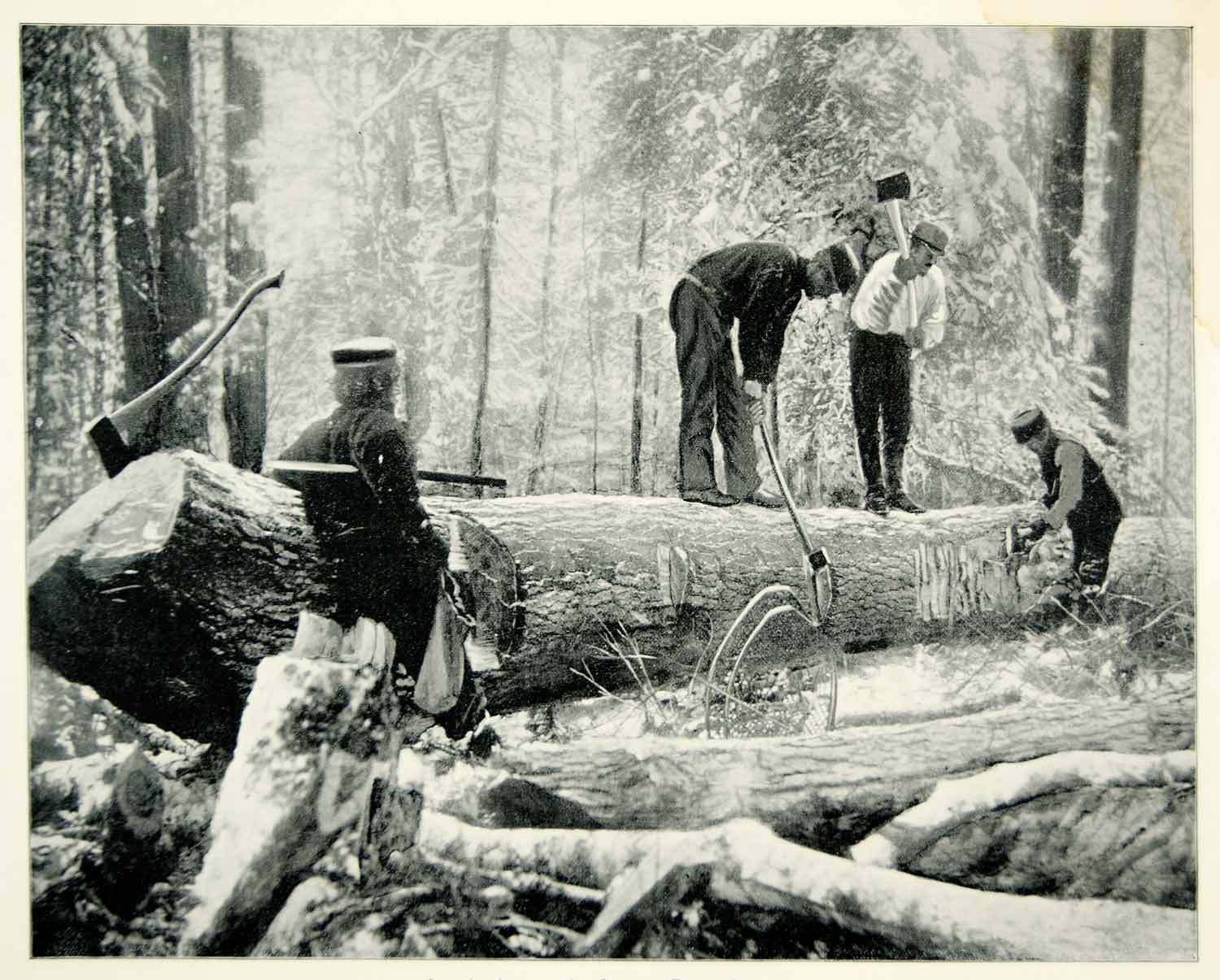 1894 Print Lumberjack Ottawa River Canada Northwoods Ax Log Timber Industry YAC1