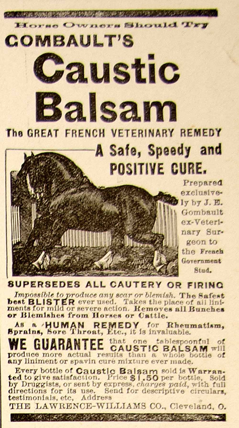 1896 Ad Antique Combault's Caustic Balsam Veterinary Remedy Horse Cure YAHB1