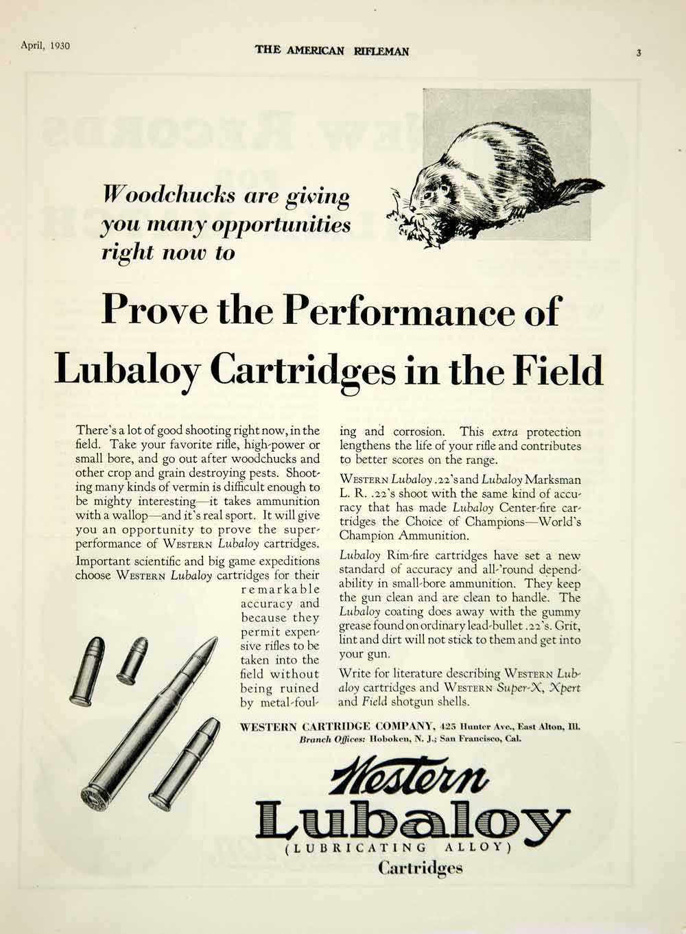 1930 Ad Western Cartridge Ammunition Lubaloy Bullet Rifle Weapon Woodchuck YAR2