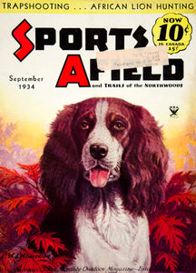 1934 Cover Sports Afield Walter J Wilwerding Art Hunting Dog Pet Sportsman YASF1