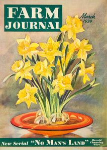 1939 Cover Farm Journal Art Wilmer Richter Flowers Bouquet Yellow Petal YFJ1