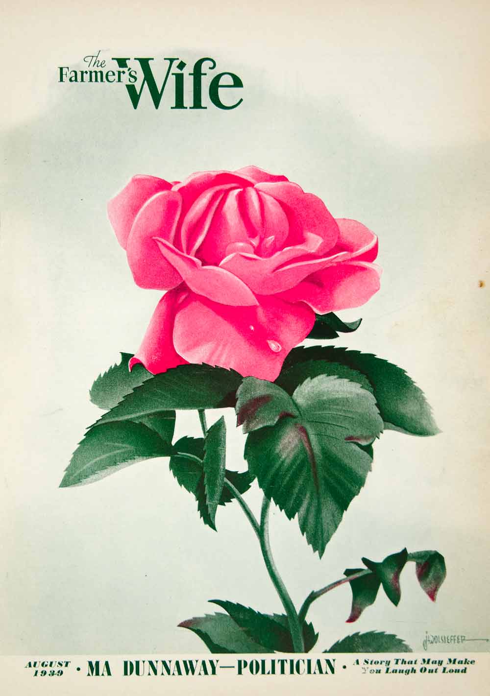 1939 Cover Farmers Wife Radiance Rose John Wolseiffer Art Blossom Flower YFJ1