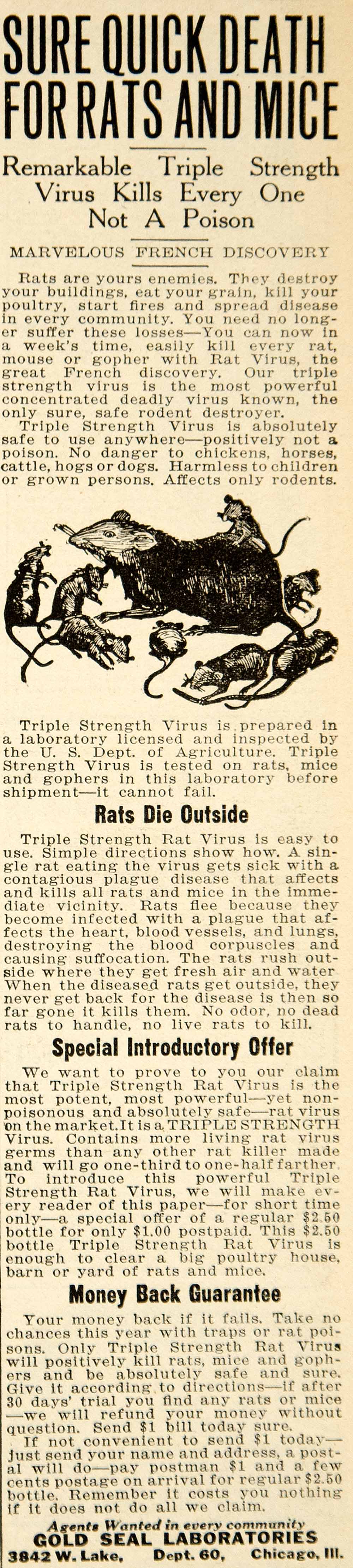 1922 Ad Triple Strength Rat Virus Vermin Extermination Gold Seal YFL1