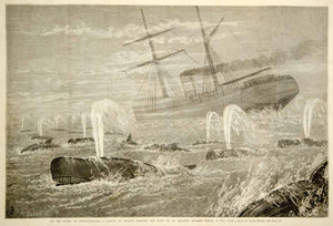 1876 Wood Engraving Grand Banks Newfoundland Whales Pod Atlantic Steamer Ship