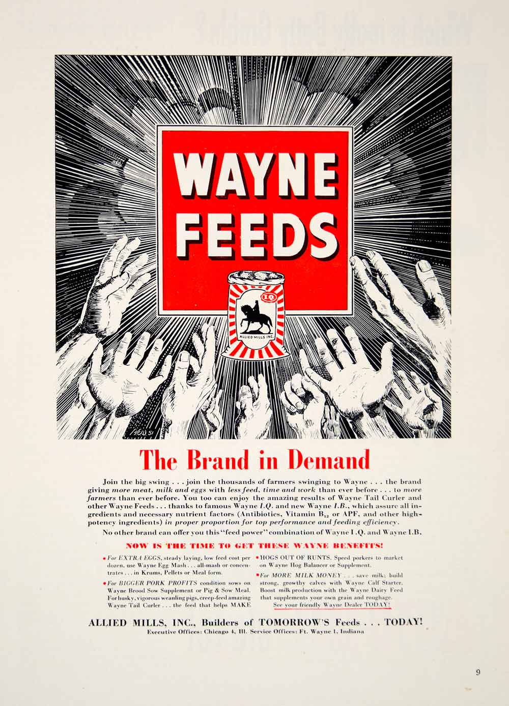 1951 Ad Wayne Feeds Hands Agriculture Allied Mills Nutrition Tail Curler YFQ1