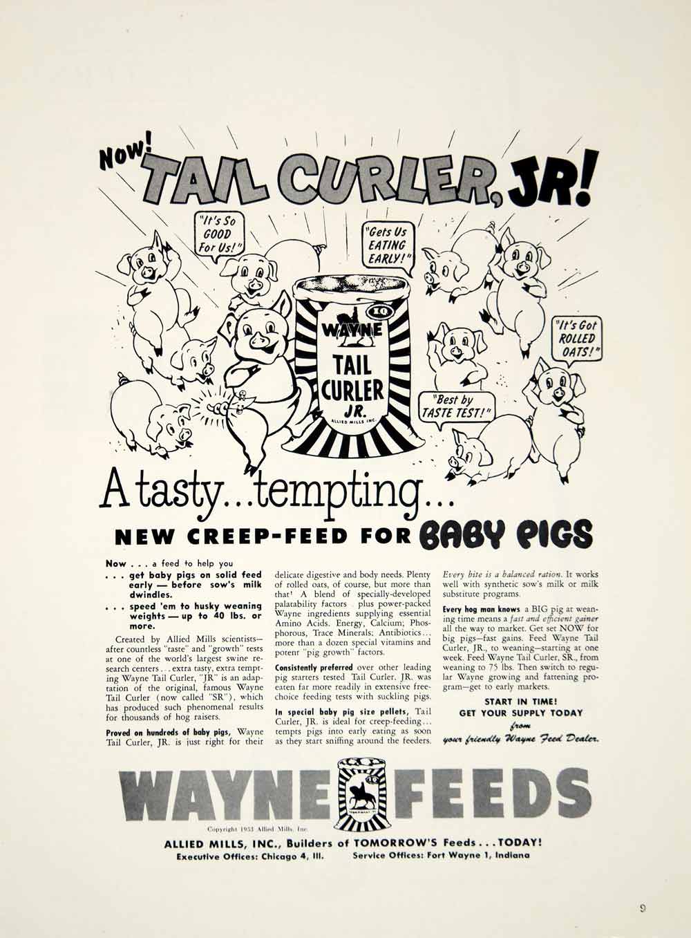 1953 Ad Wayne Feeds Tail Curler Swine Food Pigs Dancing Allied Mills Creep YFQ1