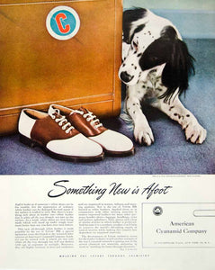1945 Ad American Cyanamid 30 Rockefeller Plaza Dog Shoe Tanak Melamine YFT2