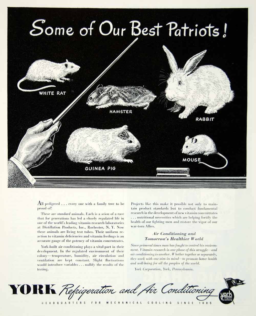 1945 Ad York Refrigeration Air Conditioning Rabbit Hamster Mouse Rat Guinea YFT2
