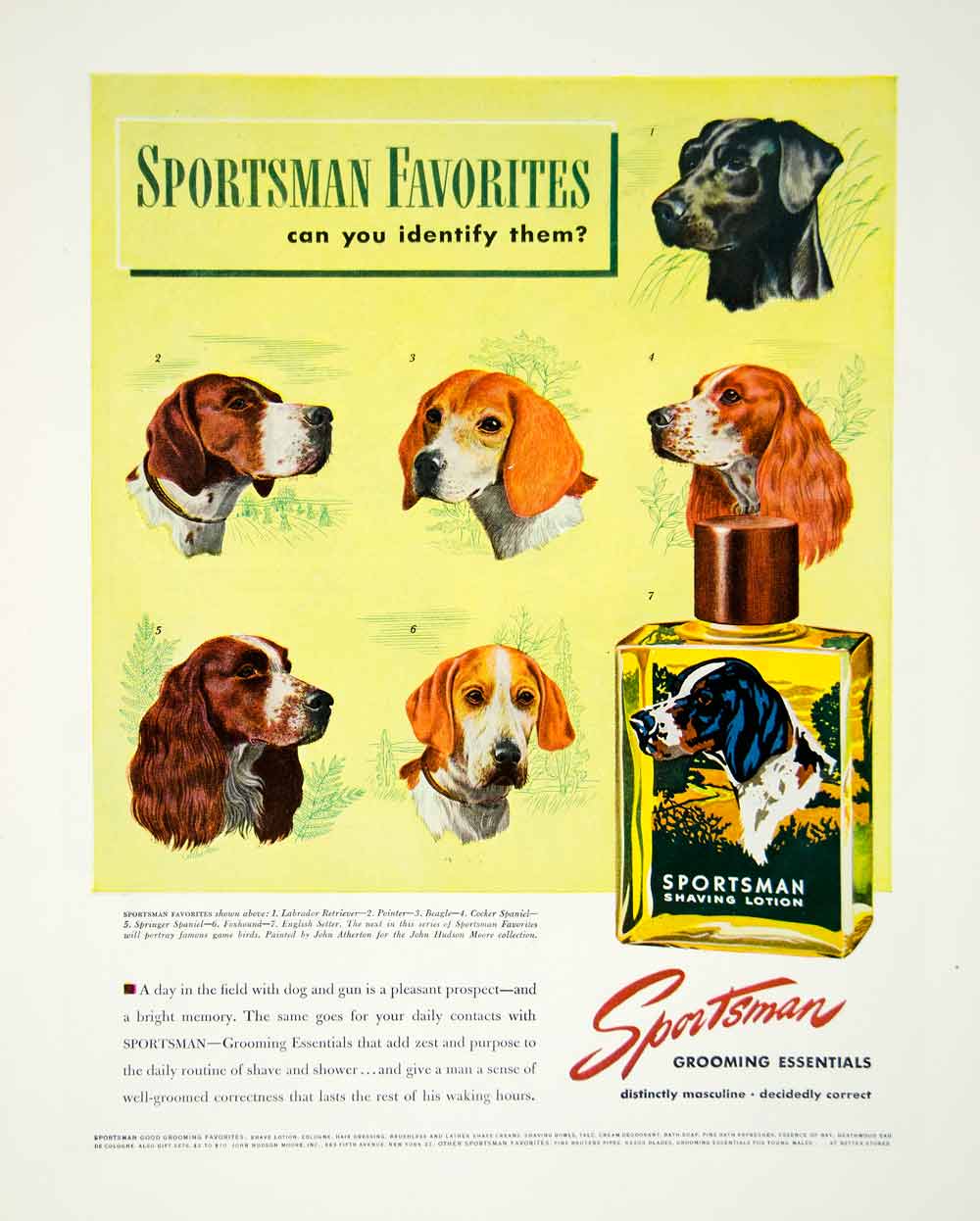 1947 Ad Sportsman Grooming Essentials Dog Labrador Pointer Beagle Spaniel YFT3