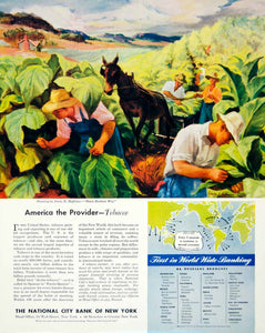 1947 Ad National City Bank New York Tobacco Horse Fields D. Hoffman Durham YFT3