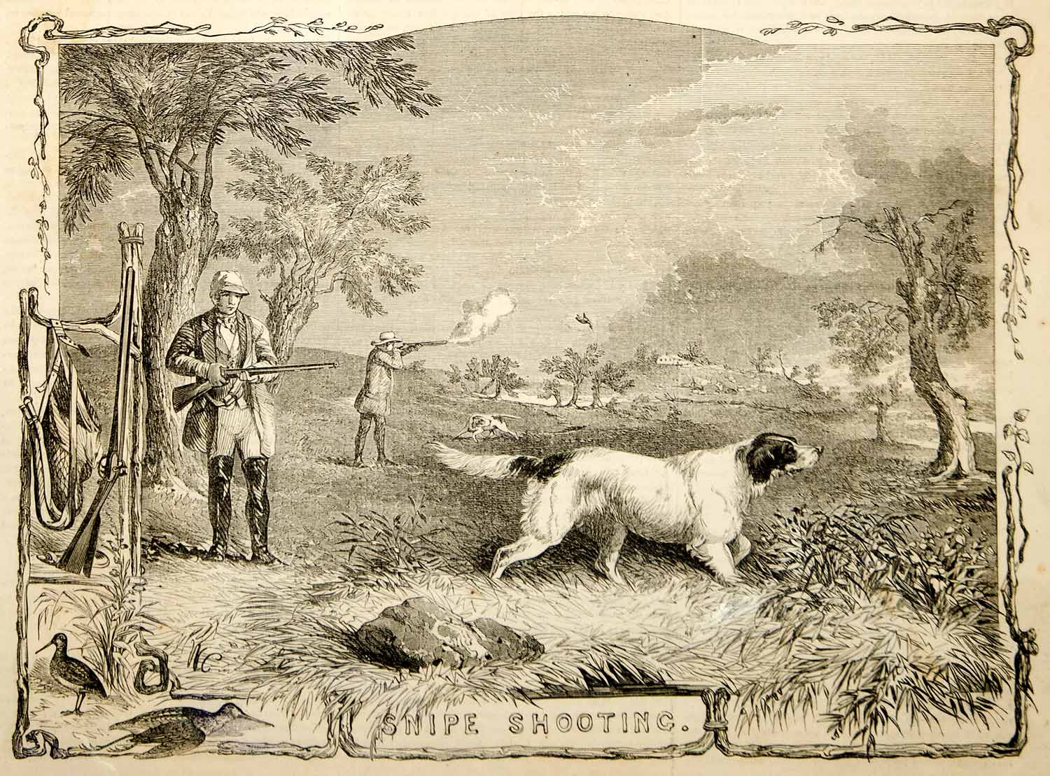 1853 Wood Engraving Snipe Wading Bird Game Hunting Dog Hunters Shootin