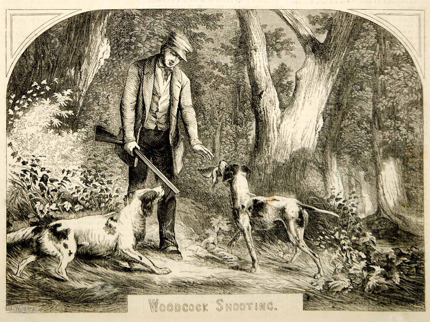 1853 Wood Engraving Woodcock Game Bird Hunting Retrievers Dogs Hunter Shooting