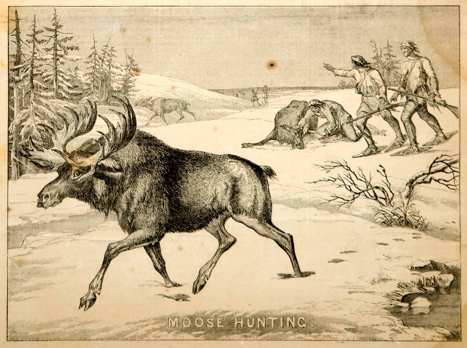 1854 Wood Engraving Moose Hunting Hunters Guns Winter Animal Wildlife Antique