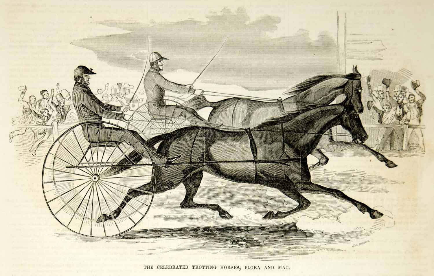 1854 Engraving Trotting Horses Race New York Union Course Woodhaven Queens NYC