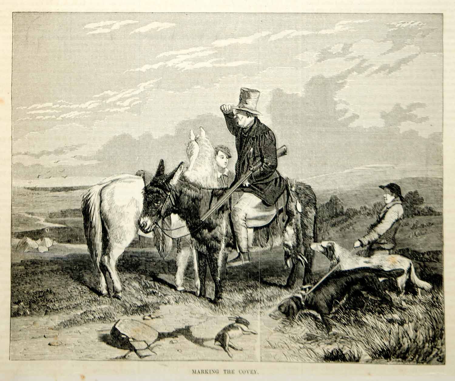 1854 Engraving Marking the Covey Harrry Hall Sporting Art Gamekeeper Hunting