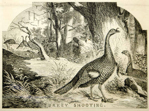 1854 Wood Engraving Turkey Shooting Hunting Game Bird Hunter Wildlife Antique
