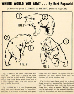 1951 Print Grizzly Bear Hunting Sportsman Rifle Gunshot Animal Wildlife YHF1