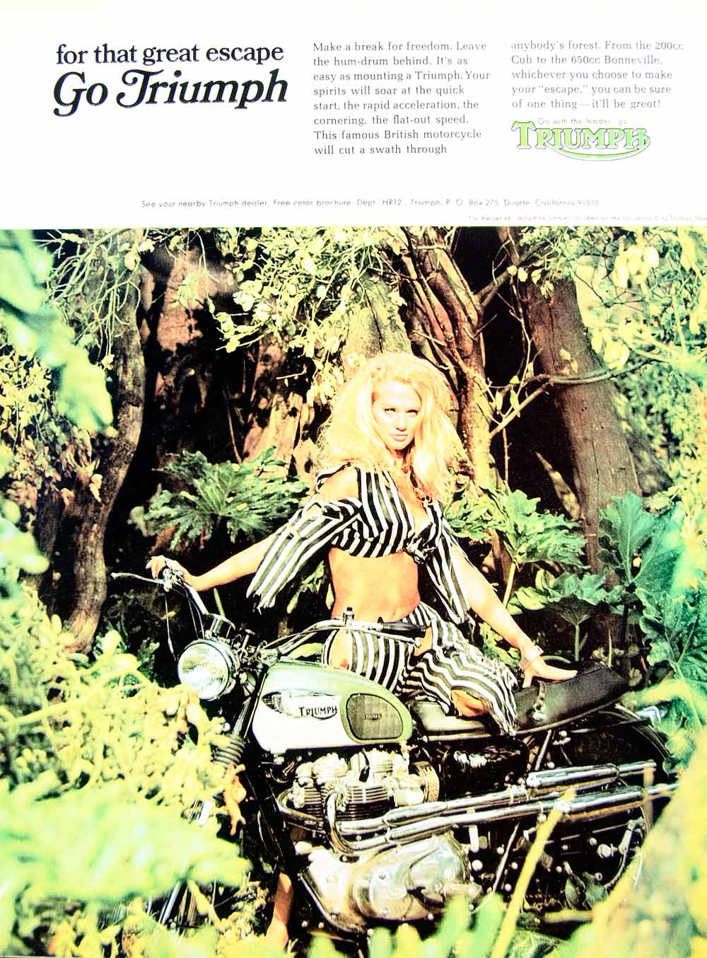 1967 Ad Vintage Triumph British Motorcycle Bike Jolly Pink Jungle Movie Set YHR3