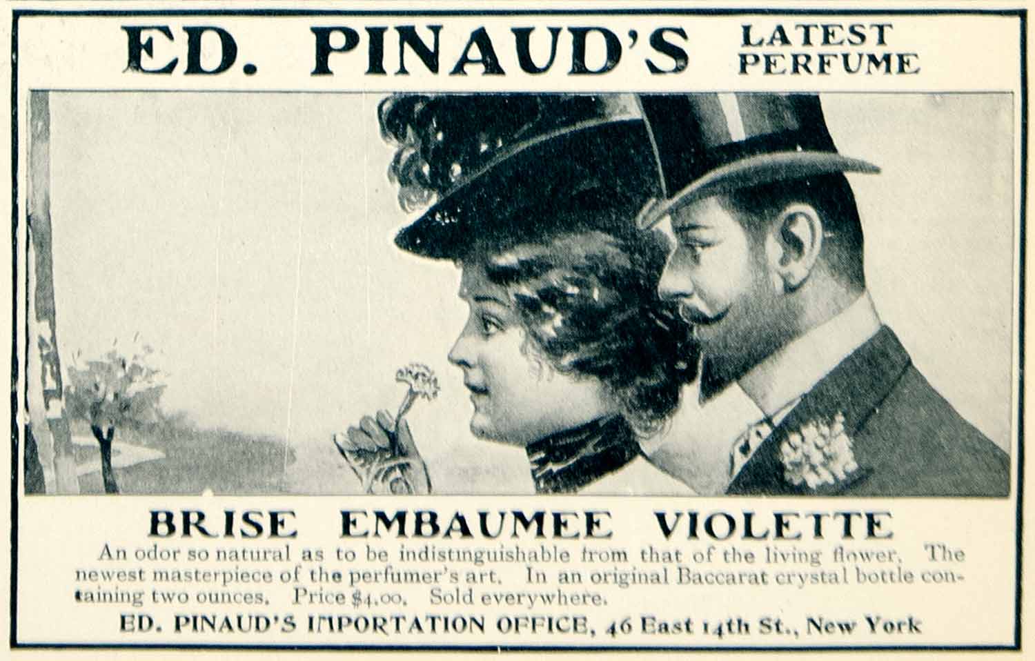 1902 Ad ED Pinauds Brise Embaumee Violette Perfume Health Beauty Edwardian YLF1