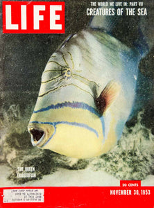 1953 Cover LIFE Magazine Queen Triggerfish Balistes Vetula Ocean Fish YLMC1