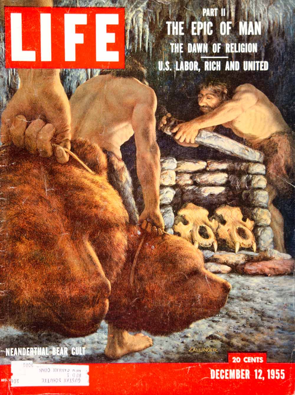 1955 Cover LIFE Meaderthal Man Bear Cult Religious Ritual Rudolph F YLMC2