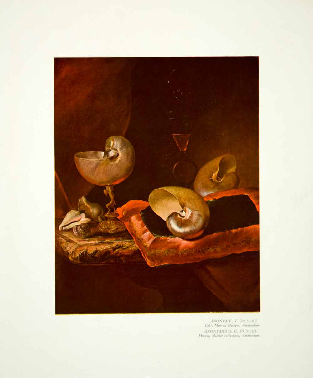 1933 Color Print Still Life Art Seashell Wine Goblet Drinking Glass Cup YMF2