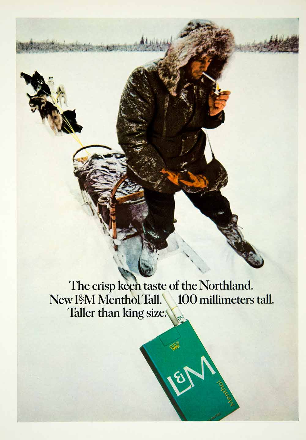 1967 Ad L & M Menthol Tall Cigarettes Dogsled Dogsledding Winter Mushi –  Period Paper Historic Art LLC