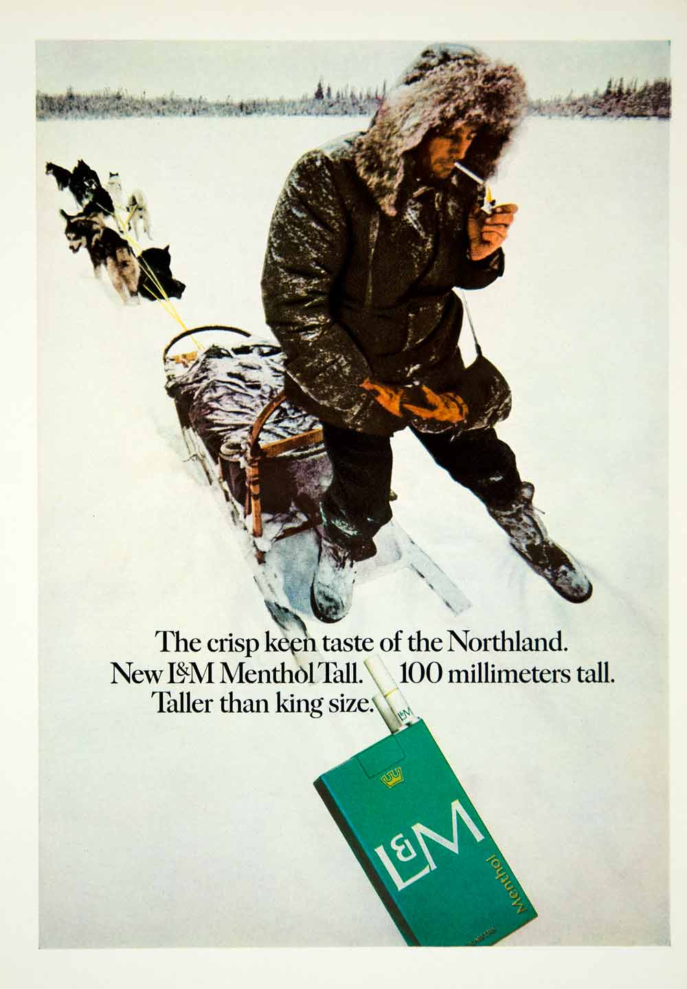1967 Ad L & M Menthol Tall Cigarettes Dogsled Dogsledding Winter Mushing YMMA3