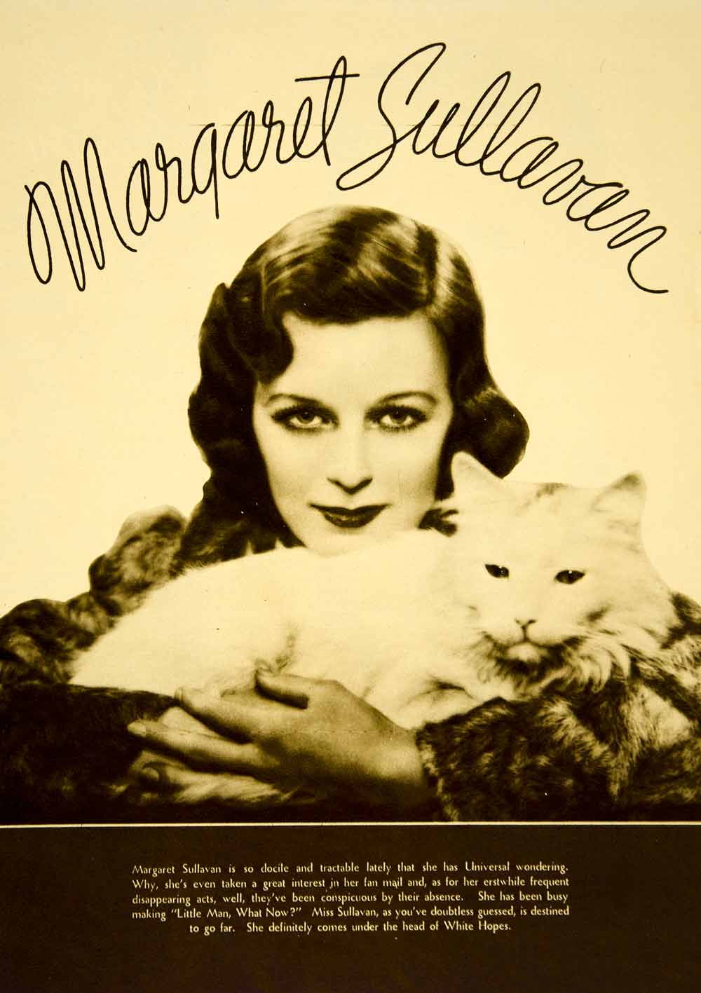 1934 Rotogravure Margaret Sullavan Movie Stage Film Actress Hollywood Star YMS1