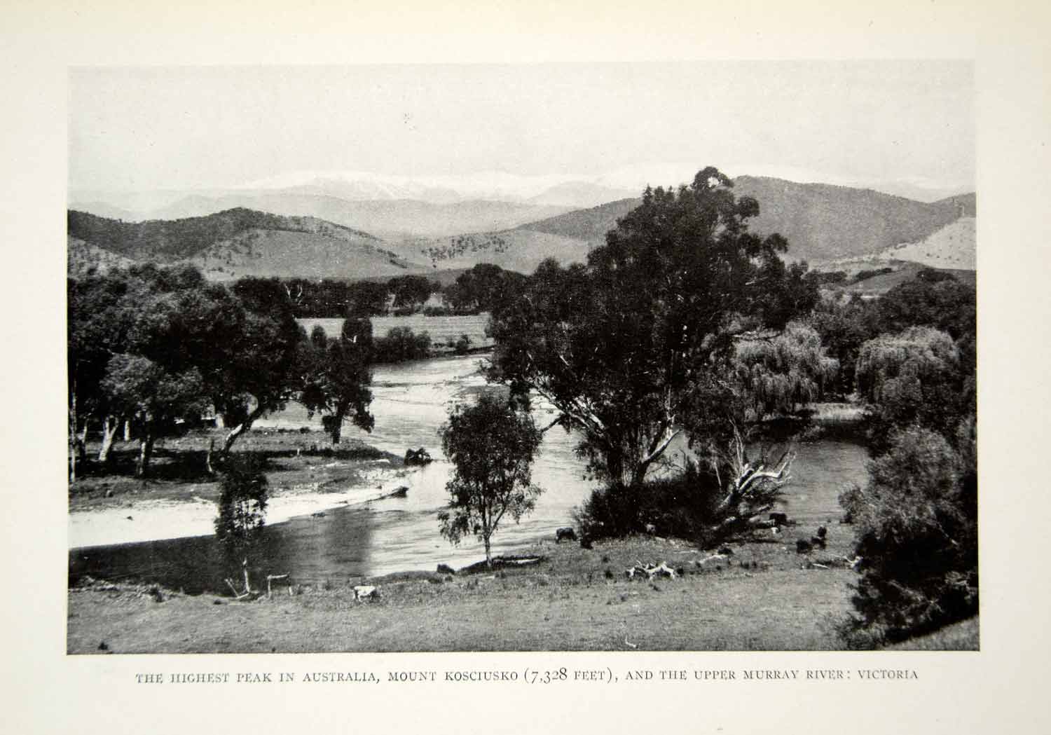 1916 Print Kosciusko Mountain Upper Murray River Landscape Historical Image YNG1