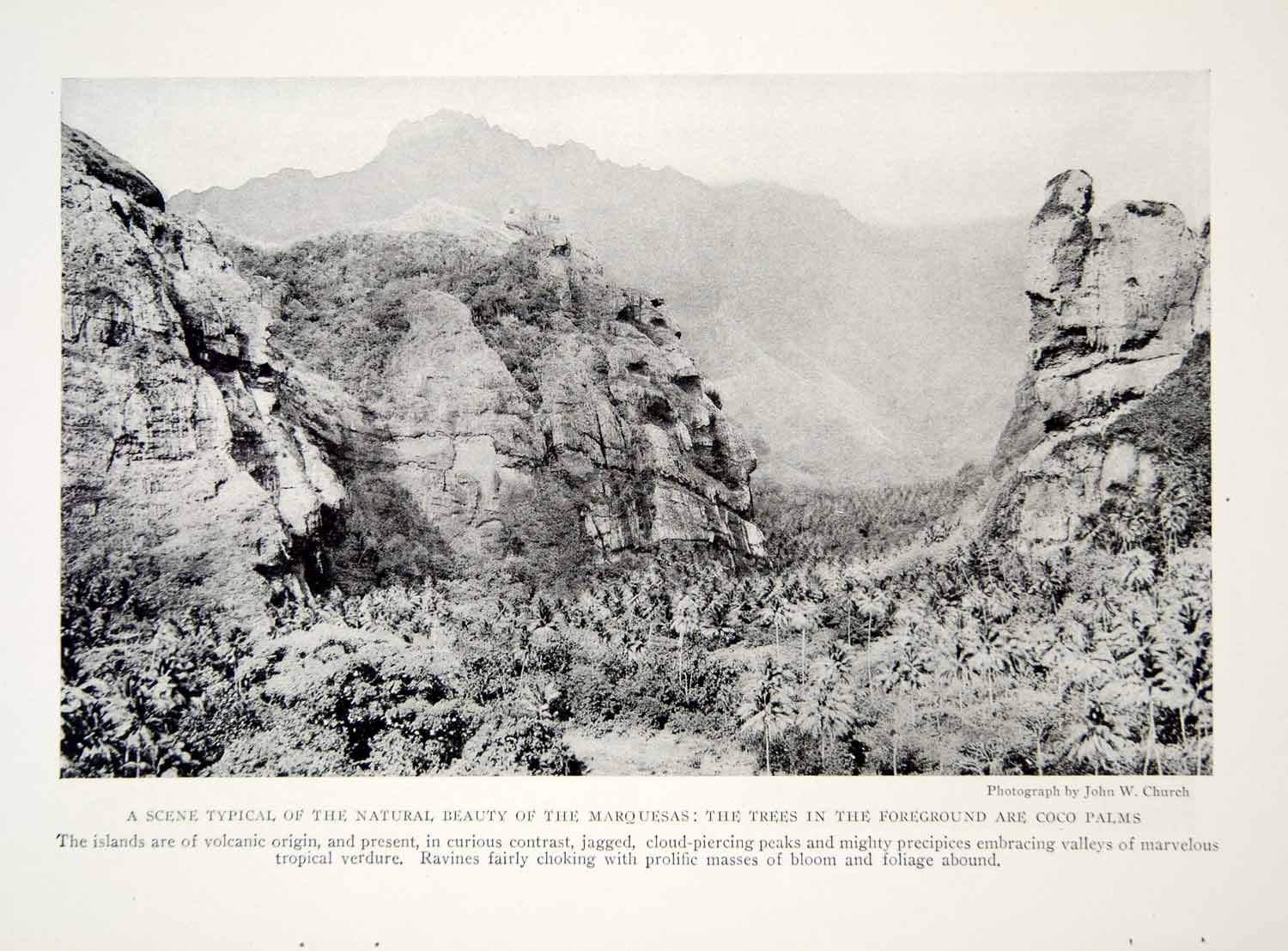 1919 Print Marquesas Islands Landscape Coco Palms Tropical Historical Image YNG4