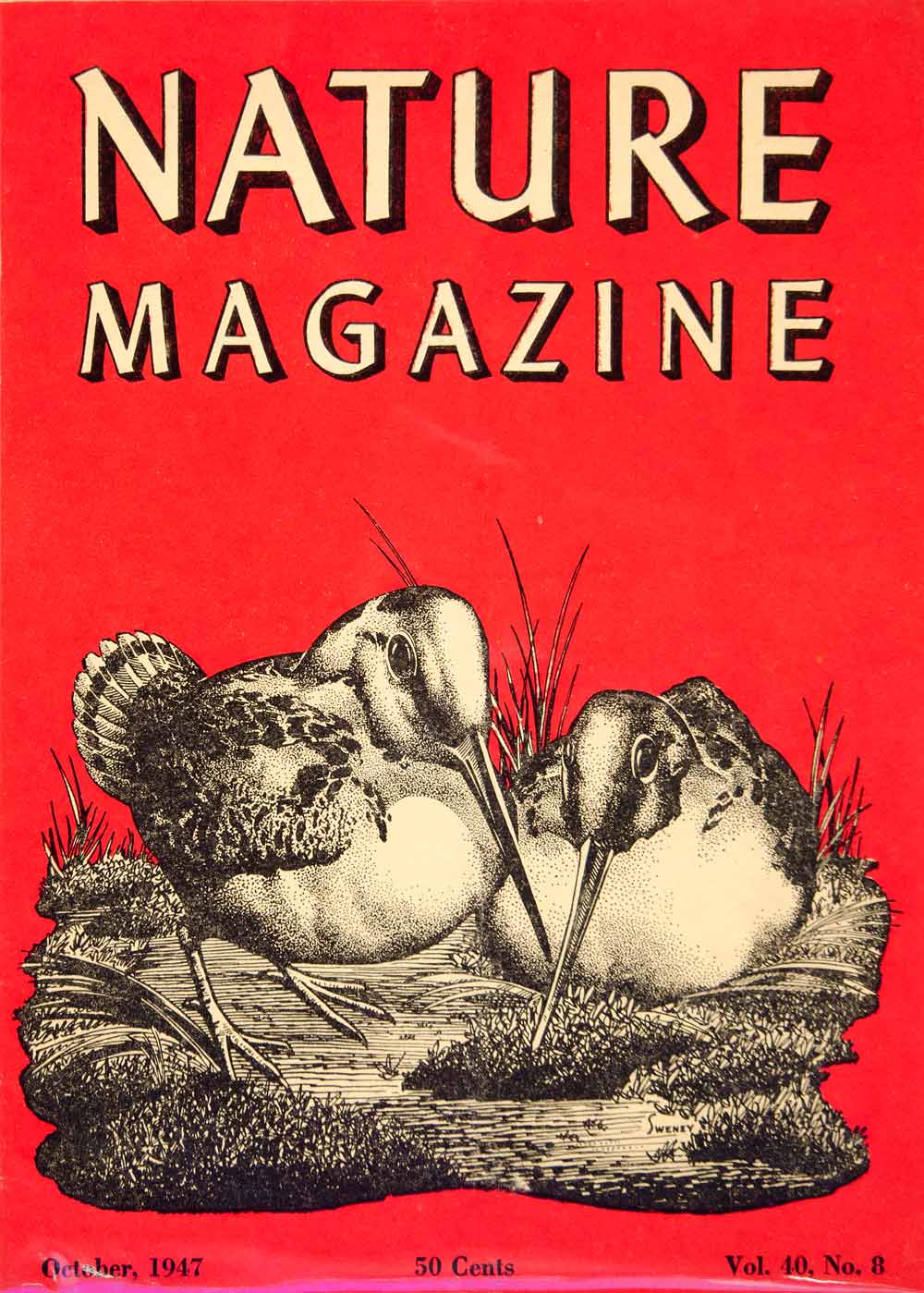 1947 Cover Lithograph Nature Magazine Woodcock Bird Art Frederic Sweney YNM5