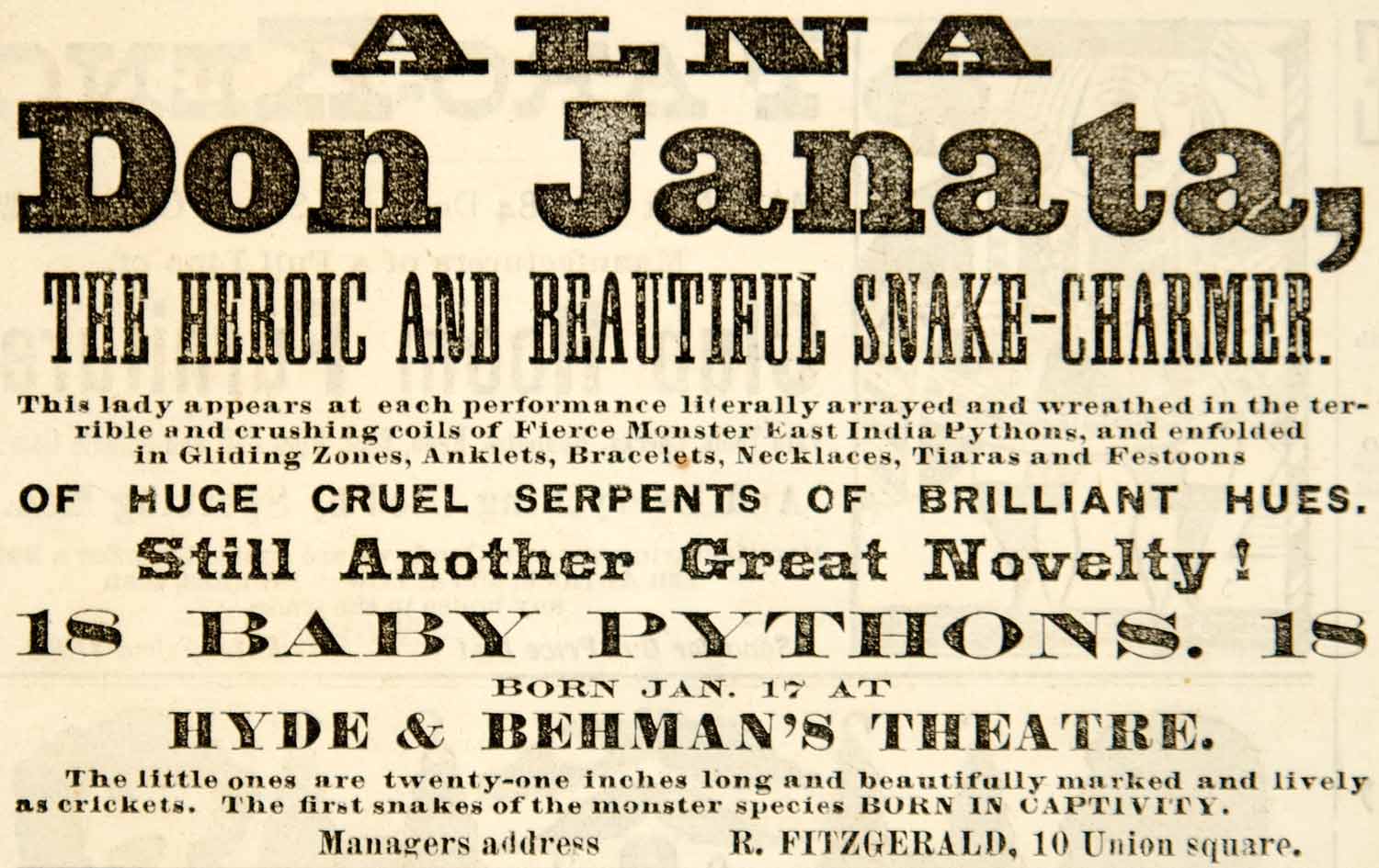 1887 Ad Alna Don Janata Snake Charmer Hyde & Behman's Vaudeville Theatre YNY1