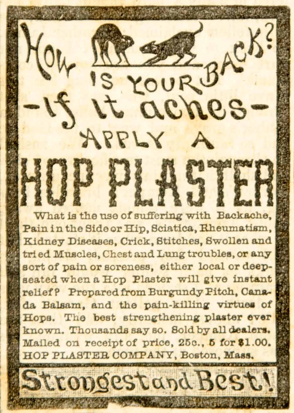1886 Ad Hop Plaster Poultice Backache Disease Pain Cure Medical Quackery YOA1