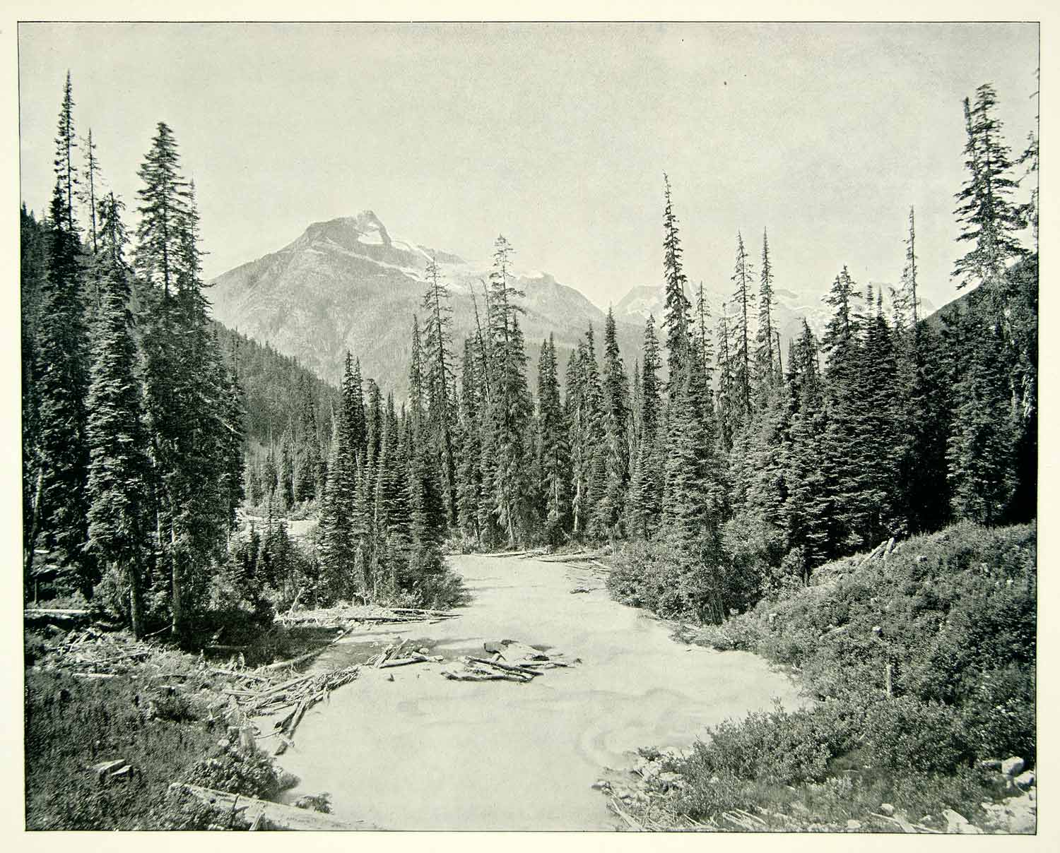 1894 Print Illecillewaet River British Columbia Canada Hermit Range Selkirk YOC1