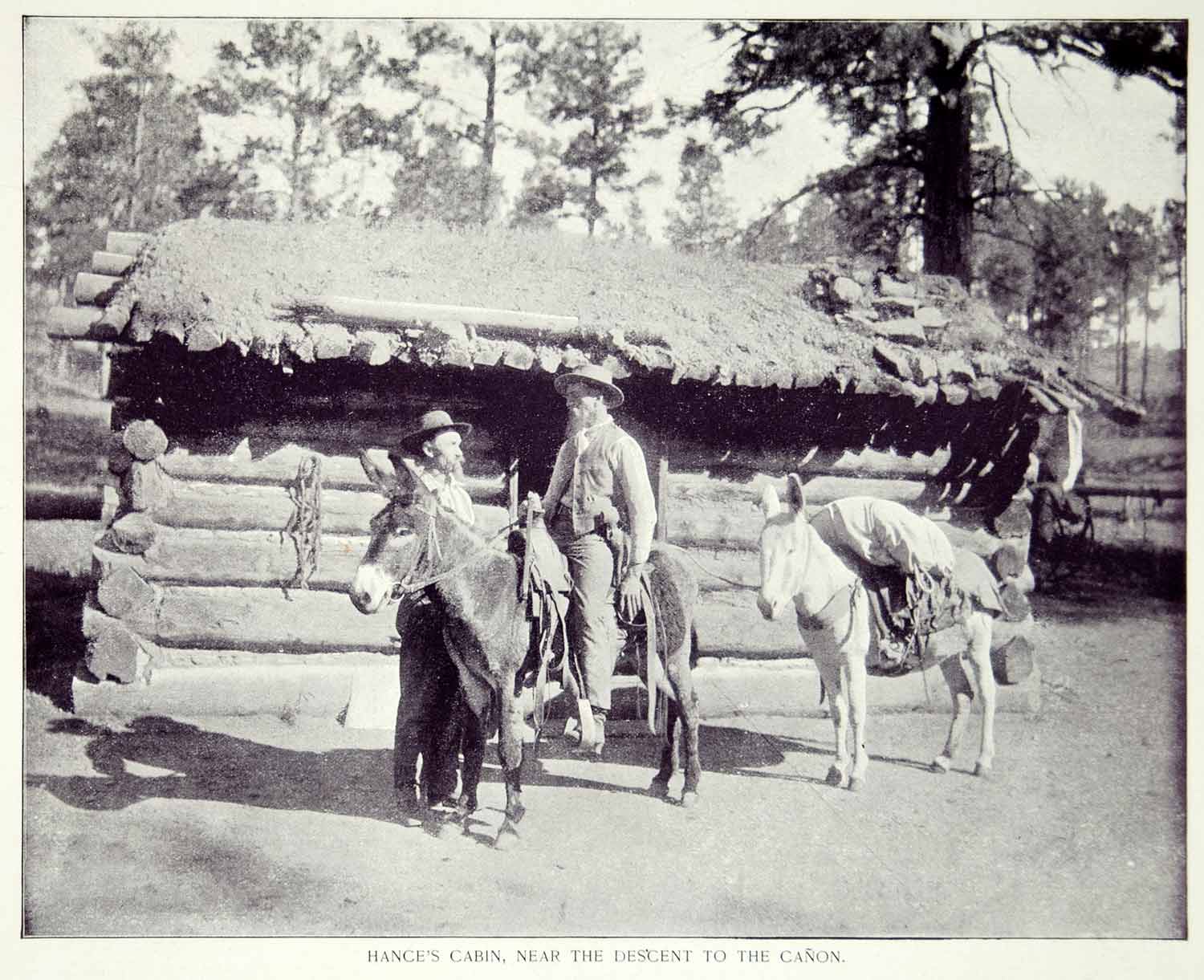 1894 Print Hance's Log Cabin Grand Canyon National Park Donkeys Historic YOC2
