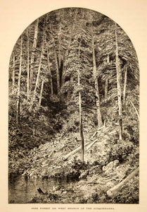 1873 Wood Engraving Susquehanna River Forest Landscape Granville Perkins YPA2