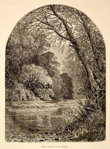1873 Wood Engraving Juniata River Moss Islands Trees Pennsylvania Landscape YPA2