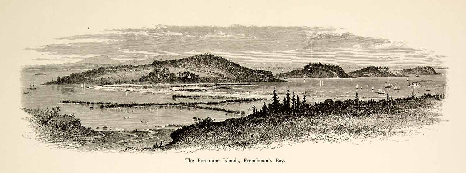 1894 Wood Engraving Porcupine Islands Frenchman Bay Maine Atlantic Ocean YPA4