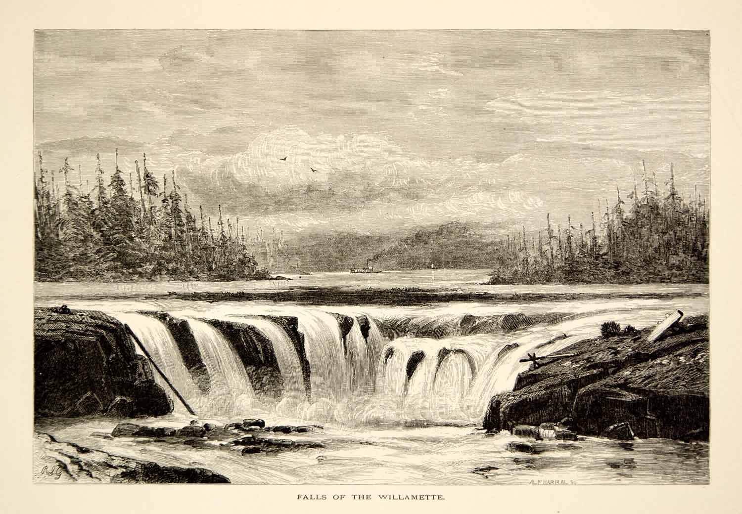1894 Wood Engraving Willamette Falls River Oregon Landscape Antique Art YPA4