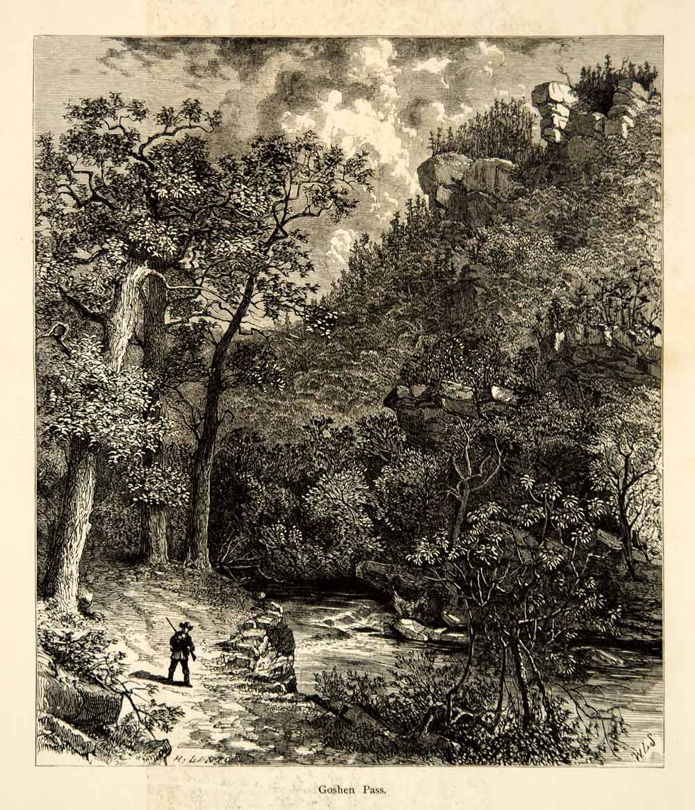 1894 Wood Engraving Goshen Pass Maury River Virginia Landscape