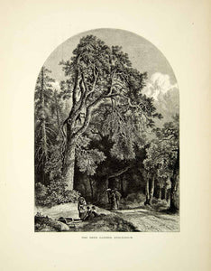 1878 Wood Engraving Art Deer Garden Stockholm Sweden Europe Trail Forest YPE3